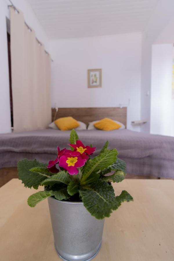Hill Apartman - Maksimir Rebro Zagreb Eksteriør bilde